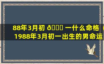 88年3月初 🕊 一什么命格（1988年3月初一出生的男命运）